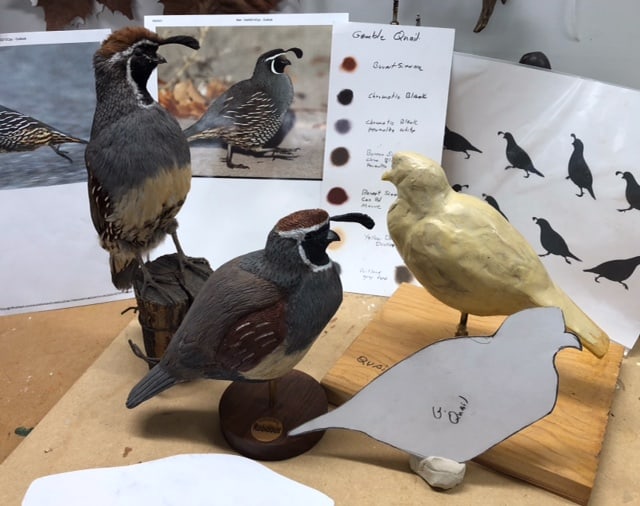 You are currently viewing Gamble Quail Carving